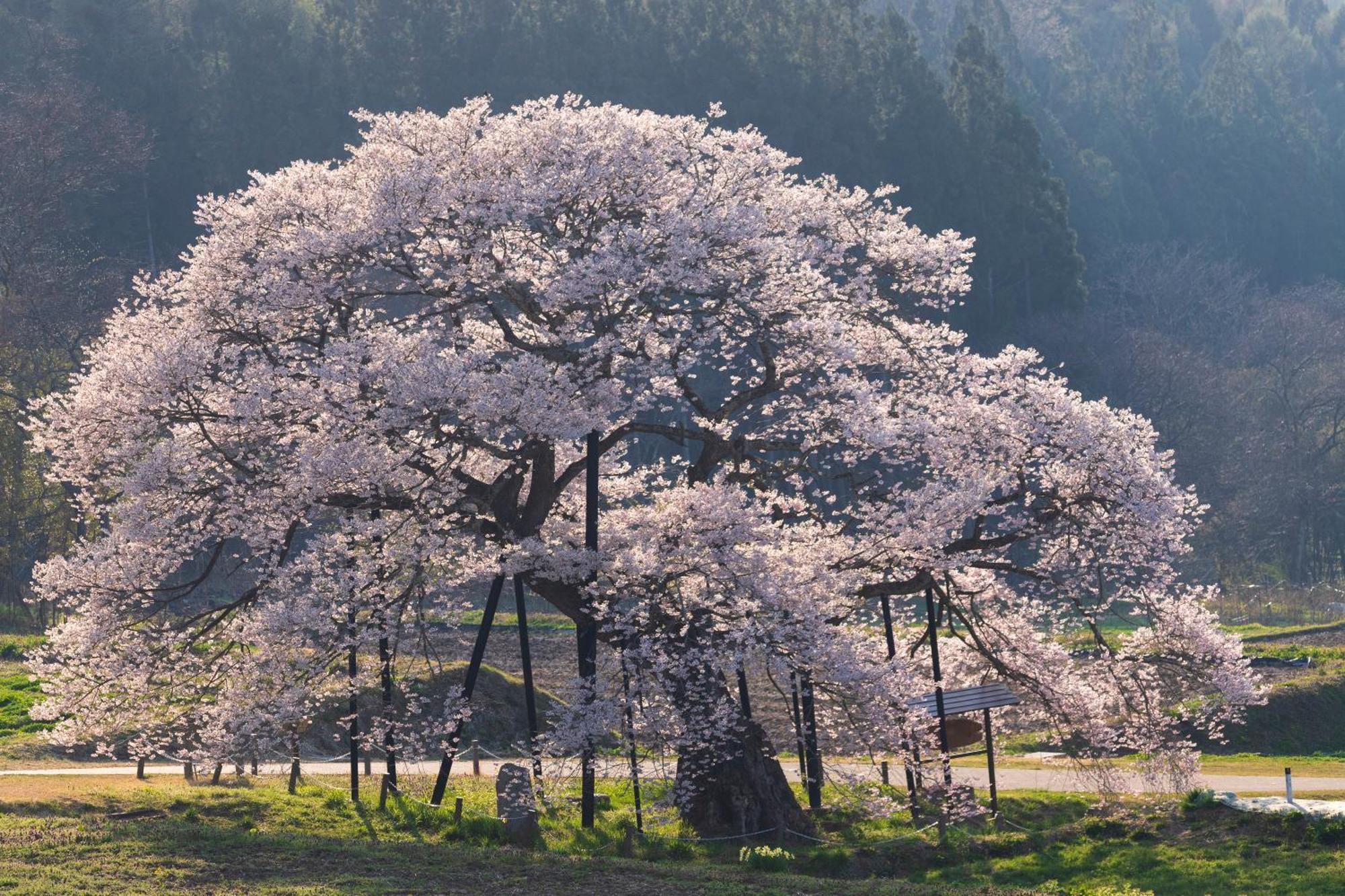 The Toji Ba Matsukawakan Takayama  Esterno foto